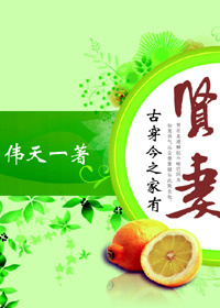 哑巴贤妻