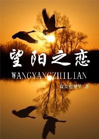 望阳之恋