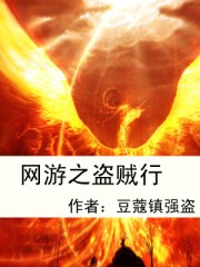 网游之盗贼行