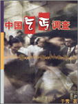 中国乞丐调查