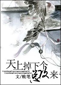 天上掉下个总攻来