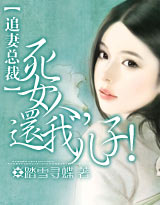 追妻总裁:死女人,还我儿子