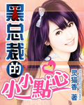 总裁太可怕