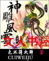 神雕风云