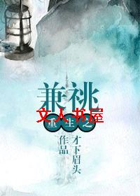 重生之兼祧