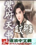 紫府天书