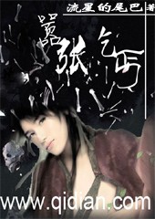 嚣张乞丐