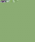 ²txt