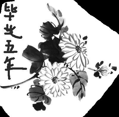 毕业五年