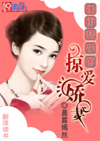 神秘恋人:冰山总裁的掠爱娇妻(全本)