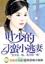 叶少的刁蛮小逃妻