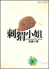 刺猬小姐