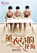 (TFboysͬ)TFboys֮޹²ݵĻtxt