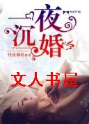 一夜沉婚