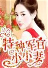 特种军官小小妻(完结)
