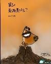 狗狗的日记