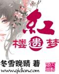 红楼遗梦(已完结)