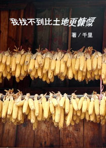 种点玉米,我想不出有什么比土地更慷慨的