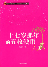 十七岁那年的五枚硬币