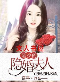 陆少的隐婚夫人