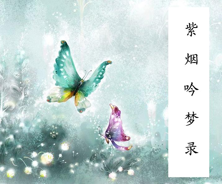 紫烟吟梦录