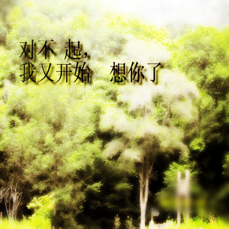 指尖的飞舞