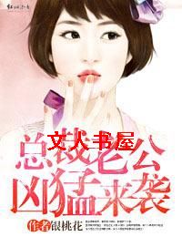 总裁老公凶猛来袭