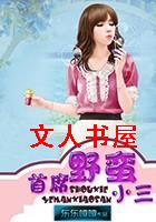 首席野蛮小三