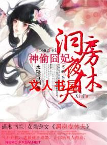 神偷囧妃,洞房夜休夫