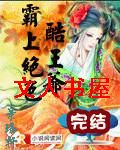 霸上绝色酷王爷