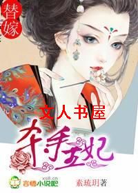 替嫁:杀手王妃