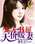 重生之天价暖妻