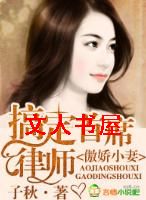 傲娇小妻,搞定首席律师