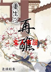 重生之再醮