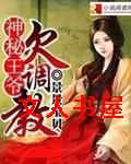 神秘王爷欠调教
