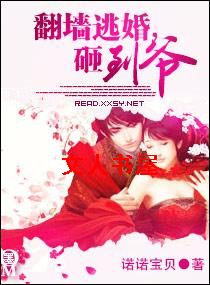 翻墙逃婚,砸到爷