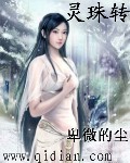 灵珠转