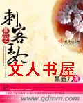 重生之刺客王妃