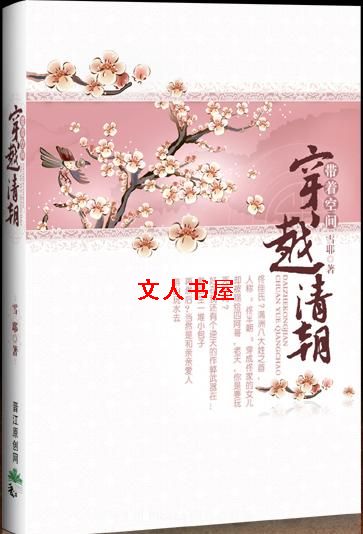 带着空间穿越清朝