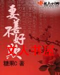 妻善不好欺