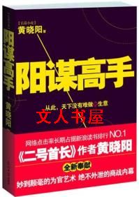 阳谋高手