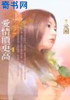 爱情价更高