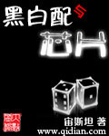 黑白配与芯片