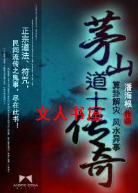 茅山道士传奇