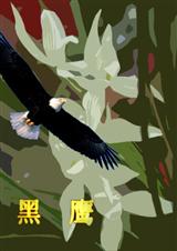 黑鹰