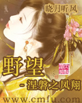 野望-涅磐之凤翔