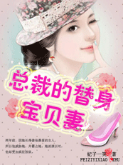 总裁的替身宝贝妻