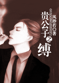 贵公子之缚