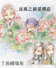 还珠之禛爱禩意