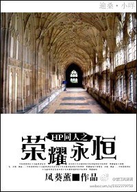 hp同人之荣耀永恒